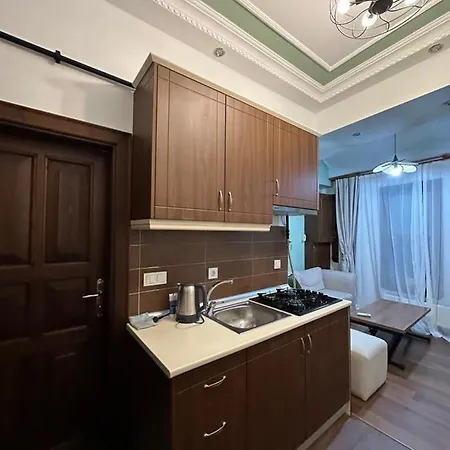 アパート Historical Mansion *