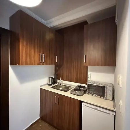 Apartmán Historical Mansion *