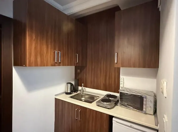 Lägenhet Historical Mansion *