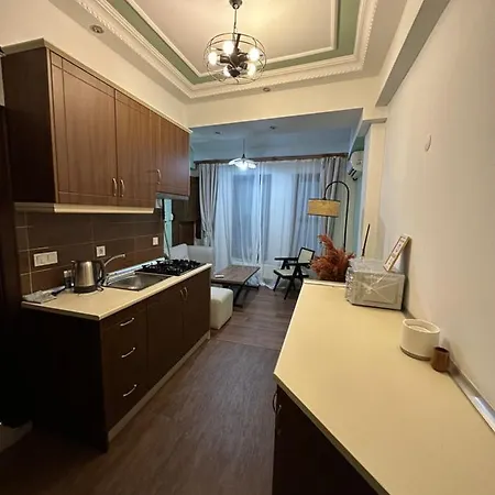 شقة Historical Mansion